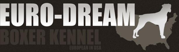 EURO-DREAM BOXER KENNEL EUROPEAN IN USA EURO-DREAM