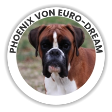 PHOENIX VON EURO-DREAM