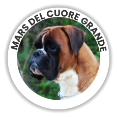 Mars Del Cuore Grande