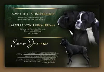 Contact Us For More Details & Reservations