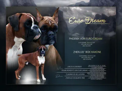 Check Our Plans & Litter Announcements