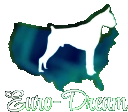 Euro-Dream