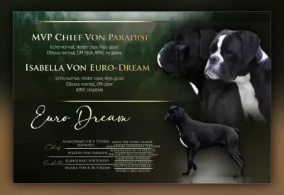 Contact Us For More Details & Reservations