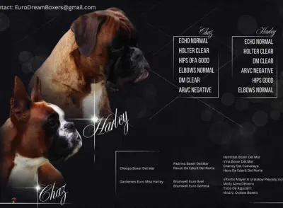 Coming to you first part of October 