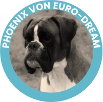 PHOENIX VON EURO-DREAM