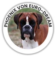 PHOENIX VON EURO-DREAM