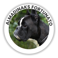 Almadinaks Fortunato