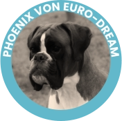 PHOENIX VON EURO-DREAM