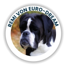 Remi Von Euro-Dream