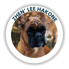 Zhen’ Lee Hakone