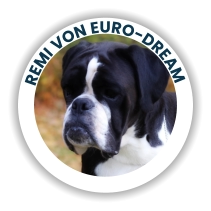 Remi Von Euro-Dream