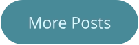 More Posts