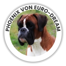 PHOENIX VON EURO-DREAM