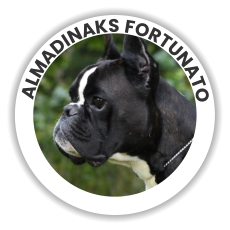 Almadinaks Fortunato