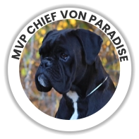 MVP Chief Von Paradise