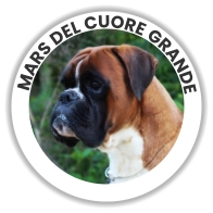 Mars Del Cuore Grande