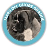 Mars Del Cuore Grande