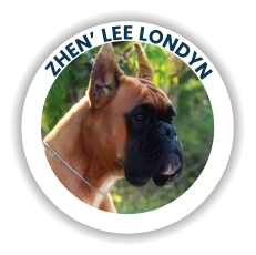 Zhen’ Lee Londyn