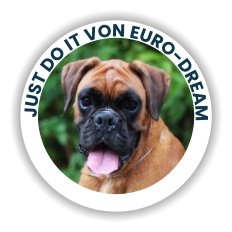 JUST DO IT Von Euro-Dream