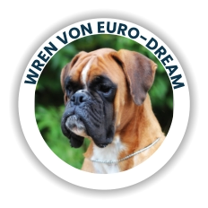 WREN Von Euro-Dream