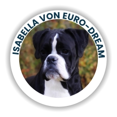 Isabella Von Euro-Dream