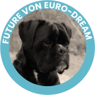 Future Von Euro-Dream