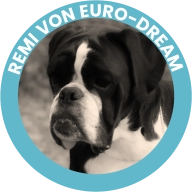 Remi Von Euro-Dream