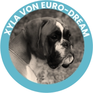 Xyla Von Euro-Dream