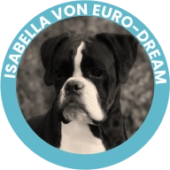 Isabella Von Euro-Dream