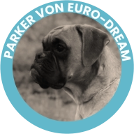 Parker Von Euro-Dream
