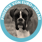 PHOENIX VON EURO-DREAM