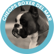 Cheops Boxer Del Mar