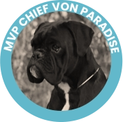 MVP Chief Von Paradise