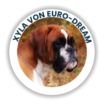 Xyla Von Euro-Dream
