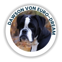 Dawson Von Euro-Dream
