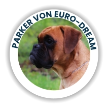 Parker Von Euro-Dream