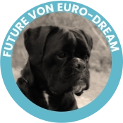 Future Von Euro-Dream
