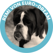 Remi Von Euro-Dream