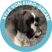 Xyla Von Euro-Dream