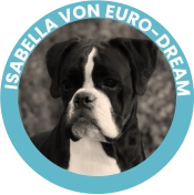 Isabella Von Euro-Dream