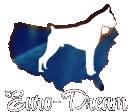 Euro-Dream