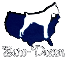 Euro-Dream