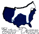 Euro-Dream