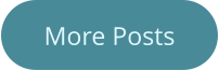More Posts